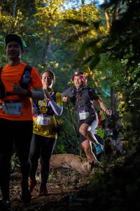 BIB: 2518
                            <button type="button" onclick="openModal(19237695)" class="btn btn-primary btn-sm float-right btn-popup" data-toggle="modal" data-target=".modal-high-quality">
                        <i class="fas fa-shopping-cart"></i> Add to Cart
                    </button>
                                            <button type="button" onclick="isThisMe(19237695, true)" class="btn btn-success btn-sm float-right btn-popup btn-isme hidden" data-toggle="tooltip" data-placement="bottom" title="นี่คือรูปของคุณใช่ไหม คลิกที่นี่เพื่อเอาเข้าอัลบั้ม">
                        <i class="fas fa-plus"></i> Add to album
                    </button>
                    <button type="button" onclick="isThisMe(19237695, false)" class="btn btn-warning btn-sm float-right btn-popup btn-isnotme hidden">
                        <i class="fas fa-ban"></i> Remove from album
                    </button>